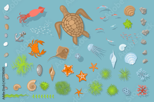 Vector set of underwater sea design elements. Top view.
The bottom of the sea - fish, turtle, crab, jellyfish, stones, shells, plants, sea stars. View from above.