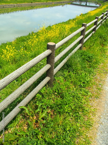 春の放水路と土手の小道と柵のある風景