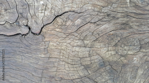 Drewno tekstury tła
