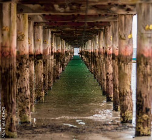 Tide lines underneath Flinders pier, Mornington Peninsula, Australia