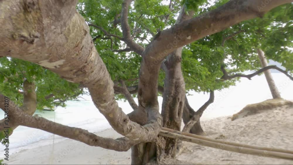 Long branches, green leaves and white sand. Long branches, green leaves and white sand.
