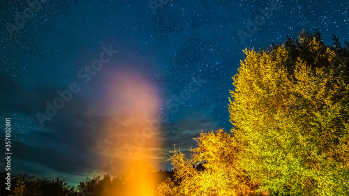 Panorama Dark blue sky with glittering stars at night over lush green leaves of trees