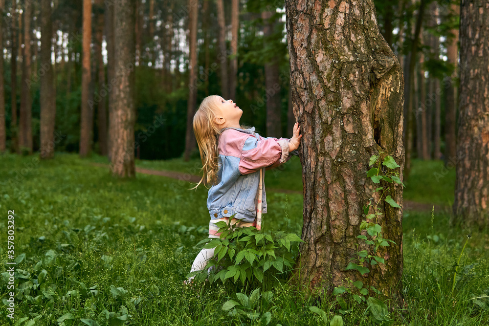 little girl girl looking up along a tree trunk seeing a bird or squirrel little girl girl looking up along a tree trunk seeing a bird or squirrel