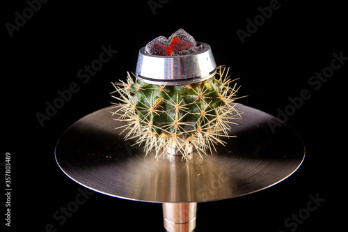 cactus hookah with cloud filled with hot coals