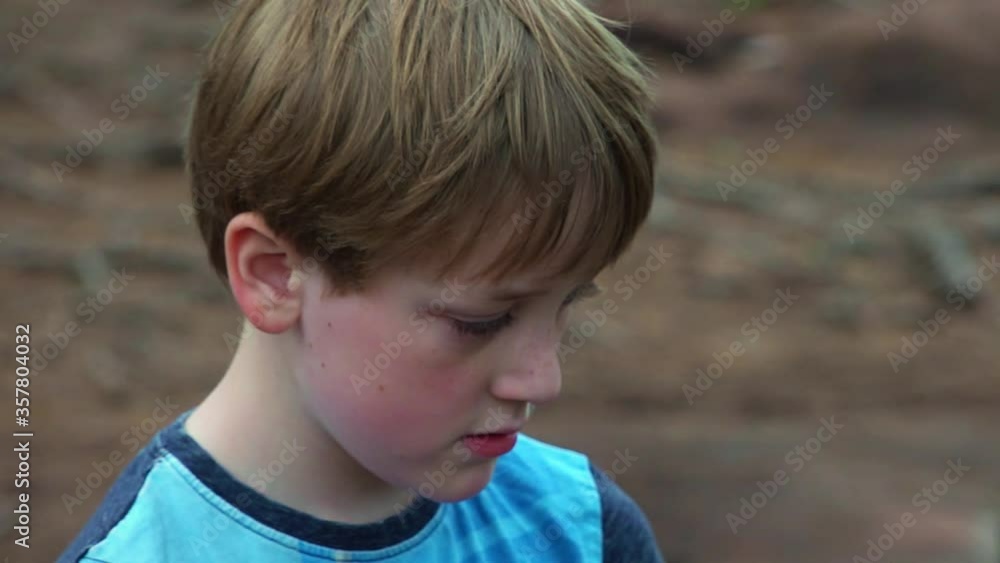 A boy exploring a woodland in summer A boy exploring a woodland in summer