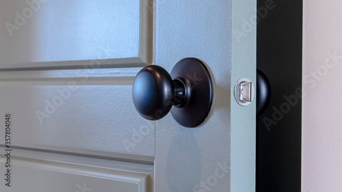 Cuadro en lienzo Panorama frame Gray paneled hinged wooden bedroom door with black door knob and