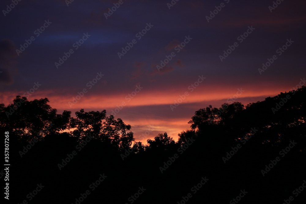 The sunsets over the horizon and the colourful and dramatic sky with clouds.  Silhouettes of trees on sunset sky background. Abstract.