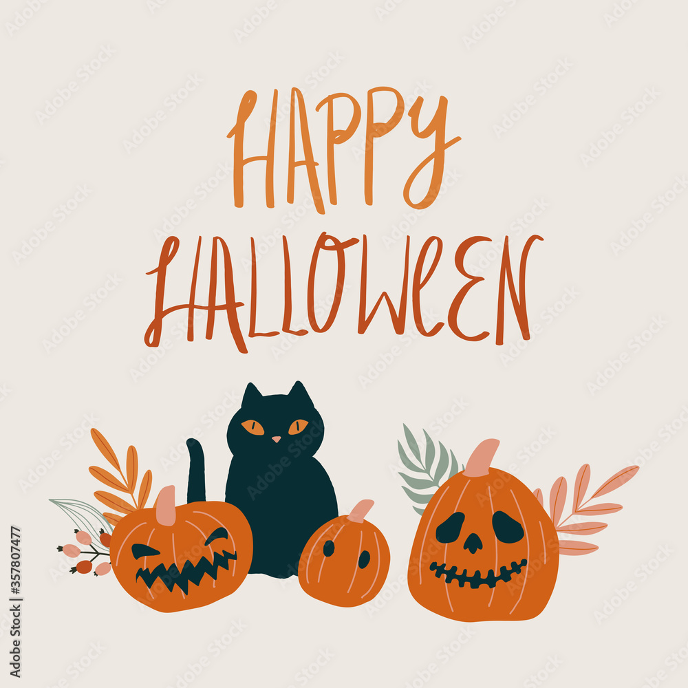 Halloween greeting card. Black cat with three pumpkins illustration isolated on white