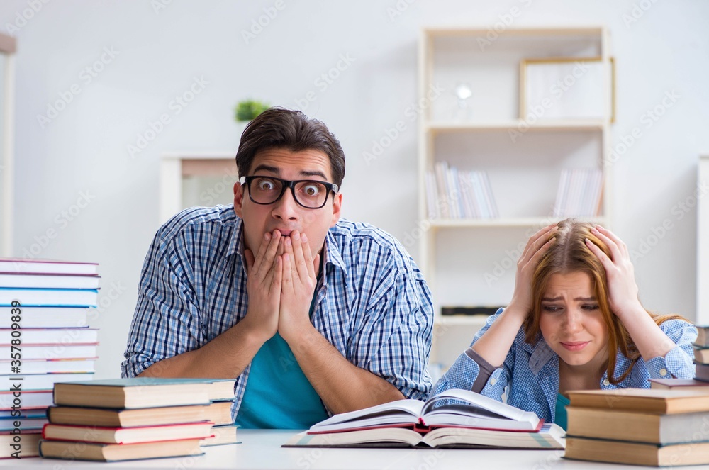 Pair of students studying for university exams Pair of students studying for university exams