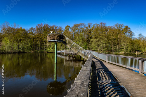 Aprilmorgen am Isenhagener See