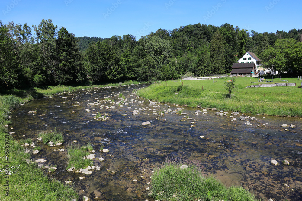Sihl river at the village of Sihlbrugg Sihl river at the village of Sihlbrugg