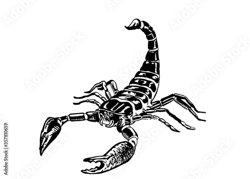 Graphical hand-drawn  scorpion isolated on white background,vector  illustration for tattoo ,design and printing