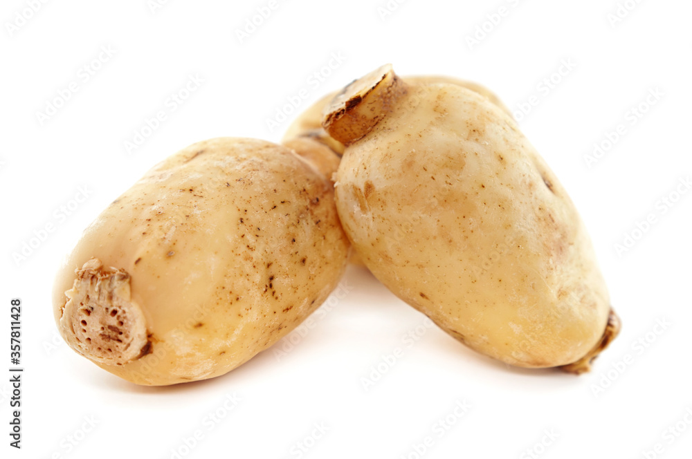 Lotus root slices isolated on white background. Lotus root slices isolated on white background.