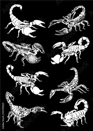Graphical hand-drawn set of scorpions isolated on black background,vector engraved illustration