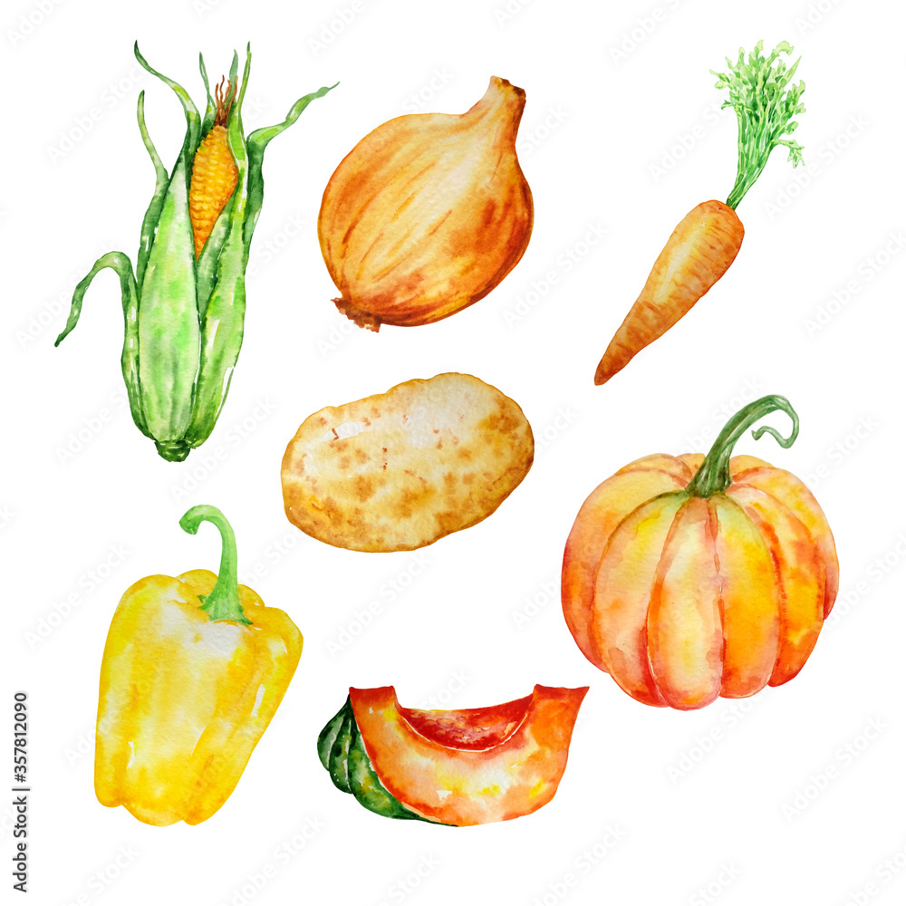 watercolor set of vegetables watercolor set of vegetables