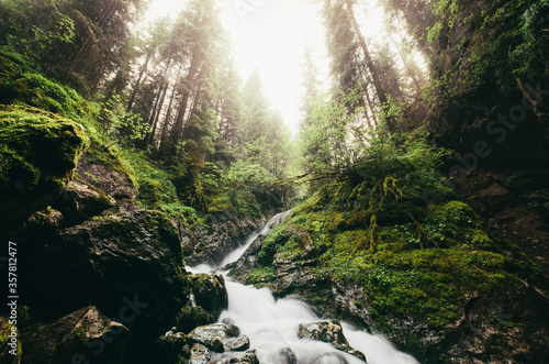 waterfall on forest stream with rocks