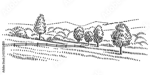 Farmland pasture line illustration, nature landscape.  Vector, isolated. 
