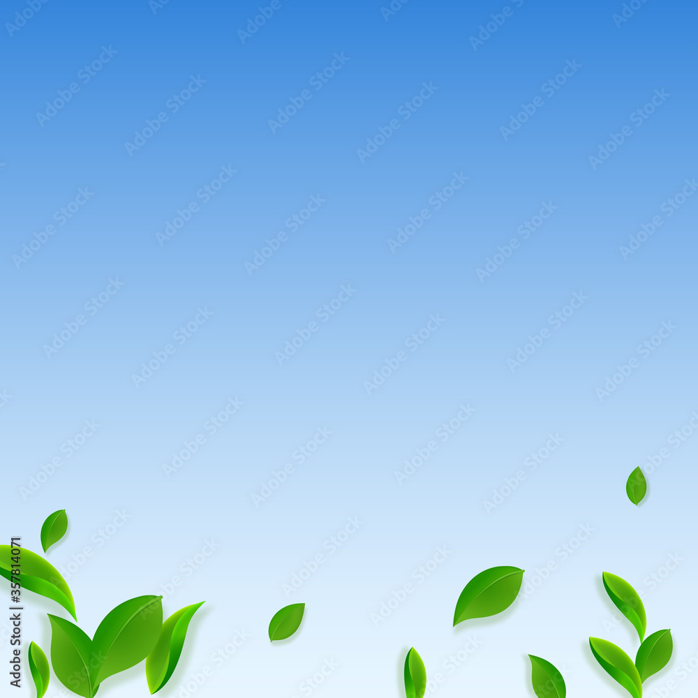 Falling green leaves. Fresh tea chaotic leaves fly Falling green leaves. Fresh tea chaotic leaves fly