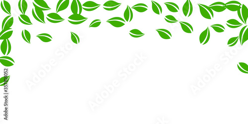 Falling green leaves. Fresh tea neat leaves flying