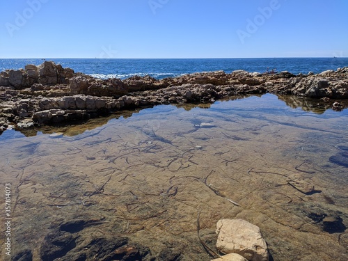 Cap d'Antibes, pointe de l'îlette environnement rocheux, mer méditerranée avec vagues côte d'azur france europe été 2020
