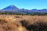 Mount Ngauruhoe (left) and Mount Tongariro (right), New Zealand, seen from the grasslands of the Volcanic Plateau