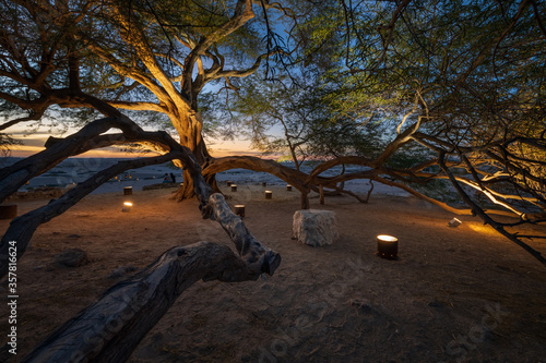 Photography Beautiful sunset view from Tree of Life, Bahrain