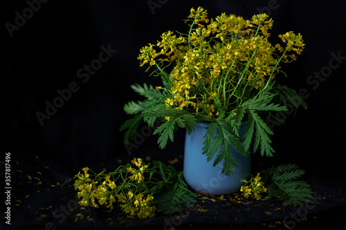 bouquet of rapeseed flowers on a black background