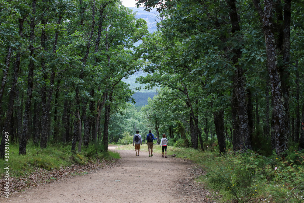 walk in the woods