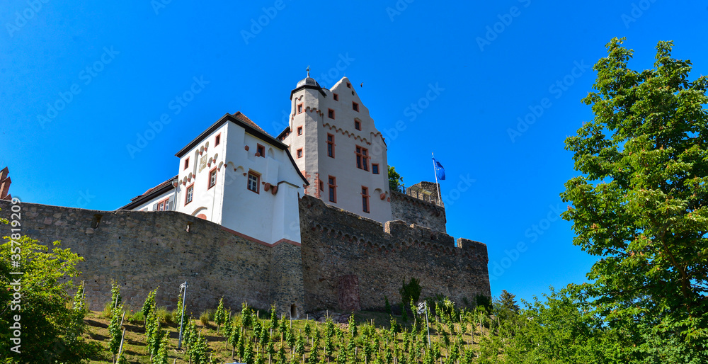 Burg Alzenau	