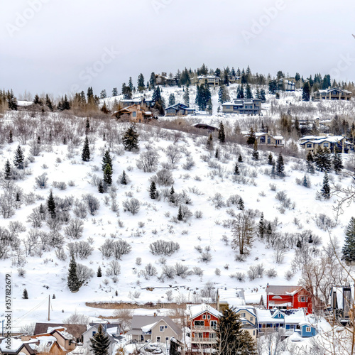 Square crop Park City neighborhood on snowy hill brightened by colorful homes and evergreens