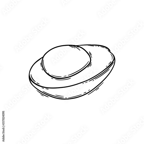 AVOCADO Tropical Fruit Health Nutrition Paleo Keto Diet Botanic Nature Vector Illustration For Print Fabric and Decoration