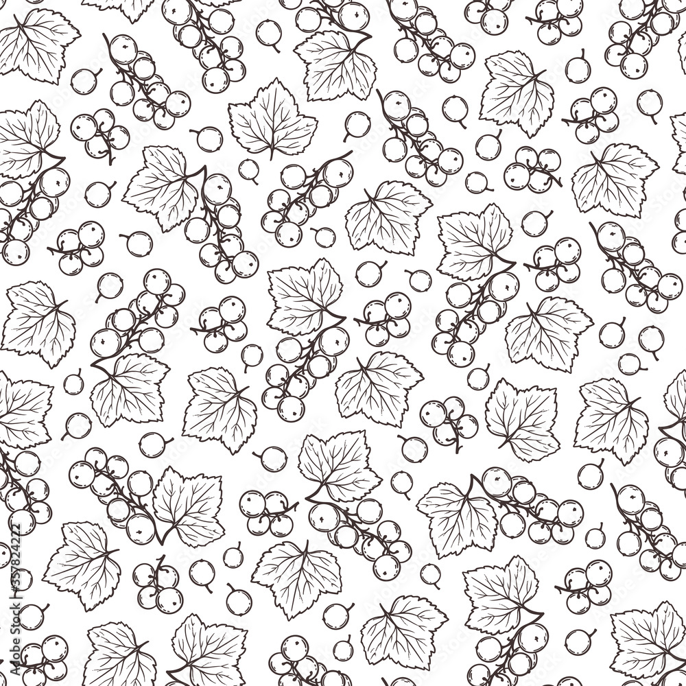Fototapeta premium BLACK CURRANT MONOCHROME Benefits Berry Nature Hand Drawn Seamless Pattern Vector Illustration For Print Fabric and Decoration