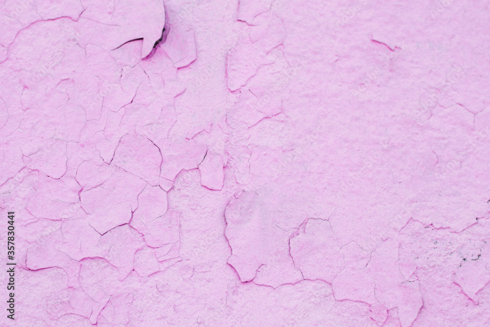 The texture of cracked bright pink paint shot close-up. There is a place for text. The texture of cracked bright pink paint shot close-up. There is a place for text.