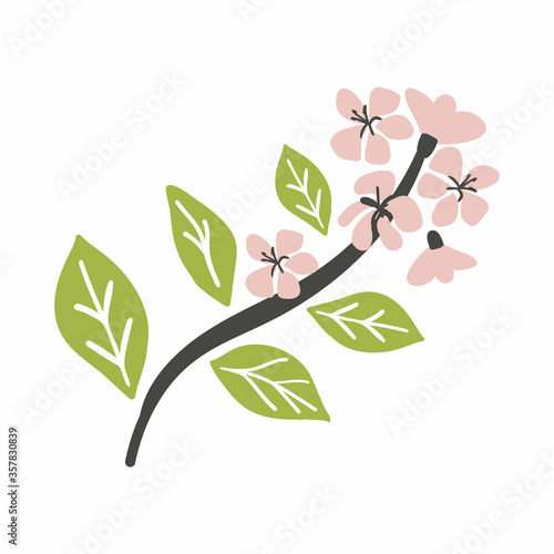 doodle flower branch. pear flowers and leaves. cartoon doodle Hand drawn vector