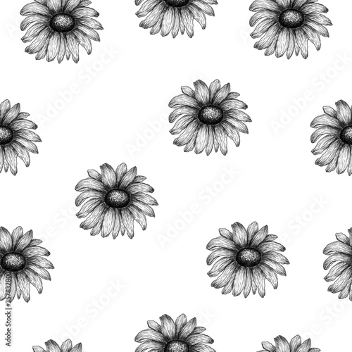 black and white daisy flower seamless pattern, vintage wildflowers decoration for backgrounds, fabric, wrapping, ink drawing illustration