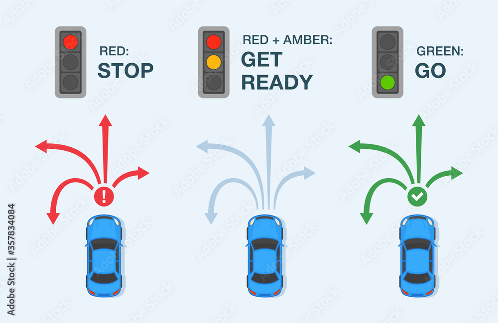 Driving car. Traffic light and their meaning infographic. Car driver
