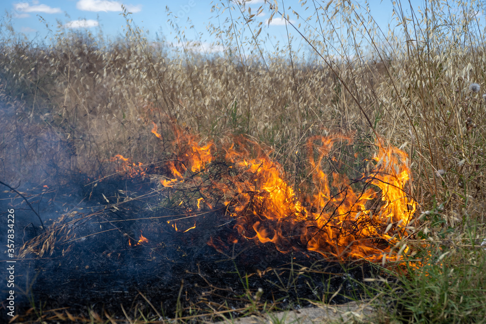 Fuego y humo en un descampado cerca de unas casas