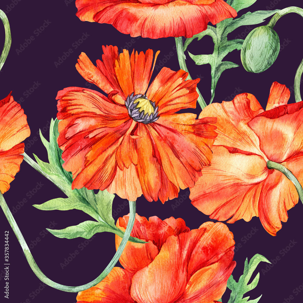 Watercolor seamless pattern with orange red poppy, hand drawn poppies illustration, botanical painting isolated on a dark background, floral, stock illustration. Fabric wallpaper print texture.