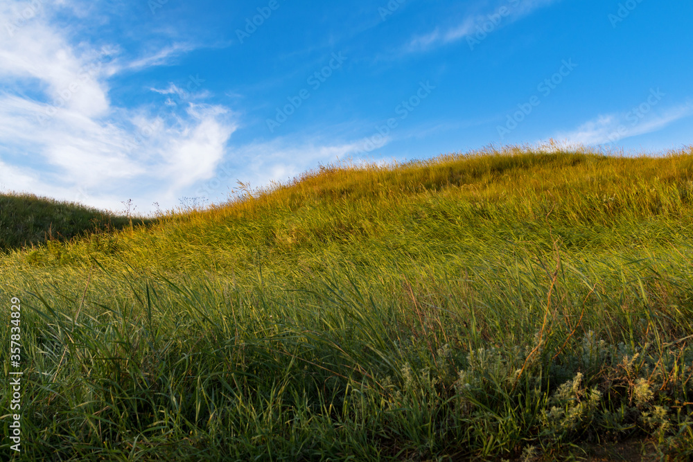 The slope of a green grassy hill against the clean blue limitless sky