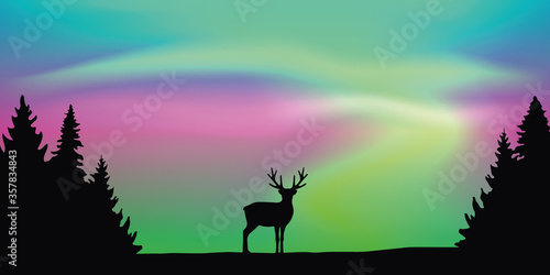 wildlife deer on aurora borealis polar lights background vector illustration EPS10