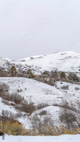 Wallpaper Mural Vertical crop Mountain homes in Salt Lake City landscape blanketed with snow in winter Torontodigital.ca
