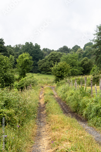 Woman walk in the forest