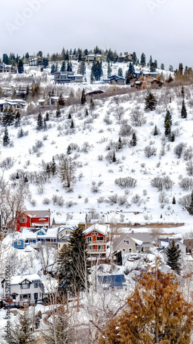 Vertical crop Park City neighborhood on snowy hill brightened by colorful homes and evergreens
