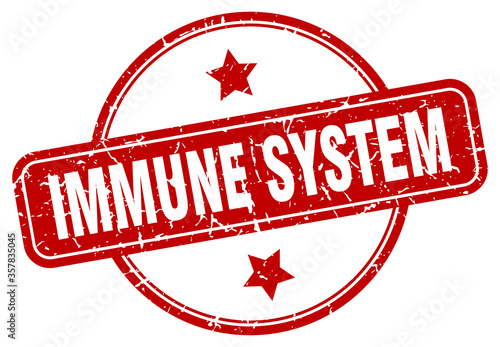 immune system grunge stamp. immune system round vintage stamp