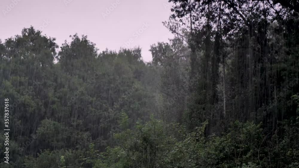 Looking out of a window at trees during a torrential rain downpour Looking out of a window at trees during a torrential rain downpour