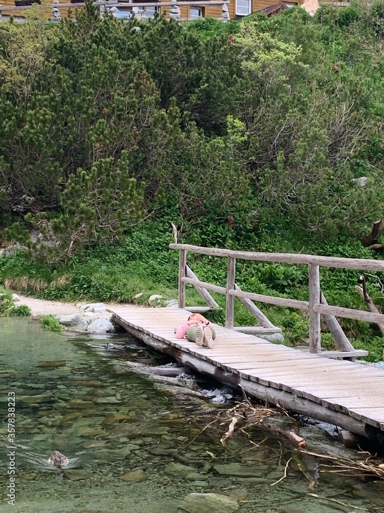 bridge over the river