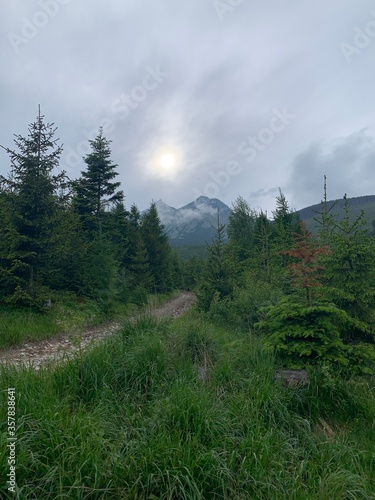 morning in the mountains