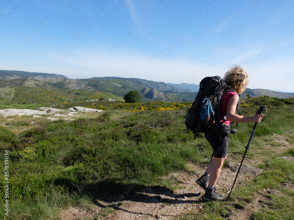 Jeune femme seule avec sac à dos marchant en randonnée trekking dans la montagne du Caroux du Parc naturel Régional du Haut Languedoc