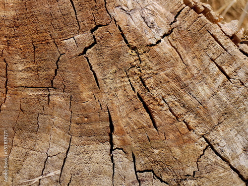 Old wooden texture as a background