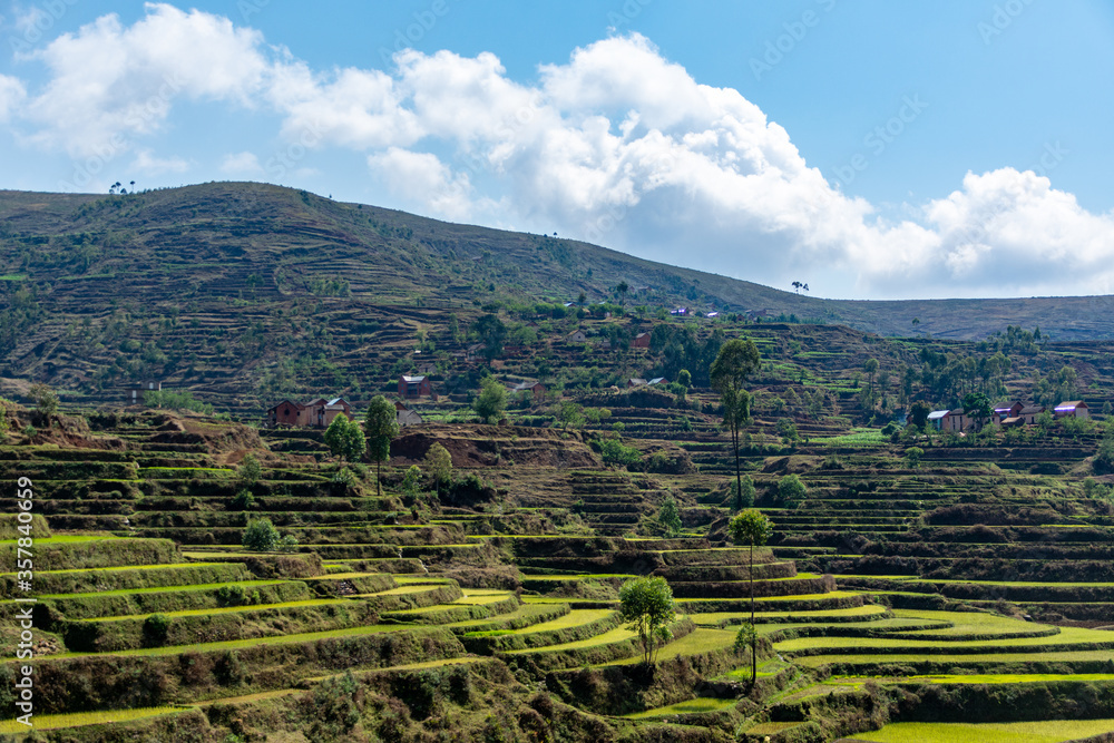 Rice terraces in the center of Madagascar. Rice is the most important cerial on that island